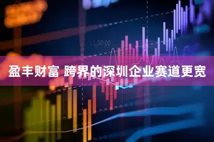 盈丰财富 跨界的深圳企业赛道更宽