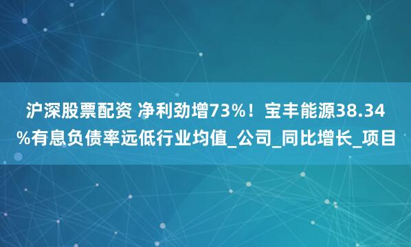 沪深股票配资 净利劲增73%！宝丰能源38.34%有息负债率远低行业均值_公司_同比增长_项目