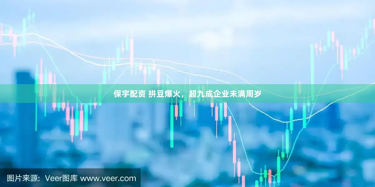 保宇配资 拼豆爆火，超九成企业未满周岁